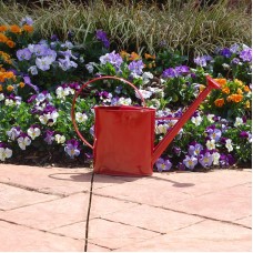 Austram 1 Gallon Metal Watering Can with Long Spout   